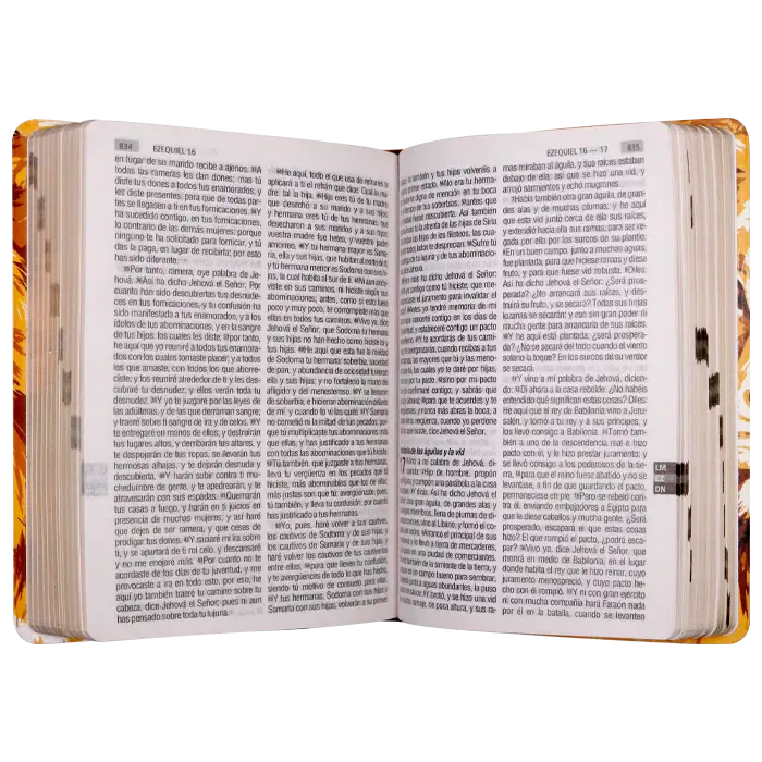 BibliaReinaValera1960MedianaLetraGrandeTapaSemiflexibleLeonDorado_RVR061cLGPJR_1024x1024.webp
