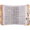 BibliaReinaValera1960MedianaLetraGrandeTapaSemiflexibleLeonDorado_RVR061cLGPJR_1024x1024.webp