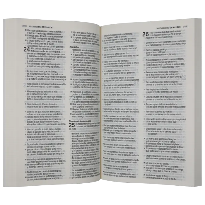Biblia Misionera Reina Valera Contemporánea Mediana Letra Mediana Rústica Flores [RVC.60ue].webp