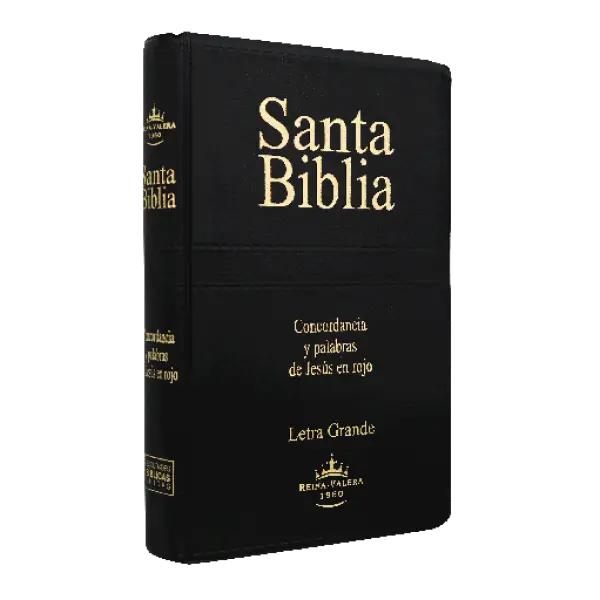 [7899938402863] Biblia Reina Valera 1960 Mediana Letra Grande Vinil Negro [RVR062CLGPJR] (1).webp