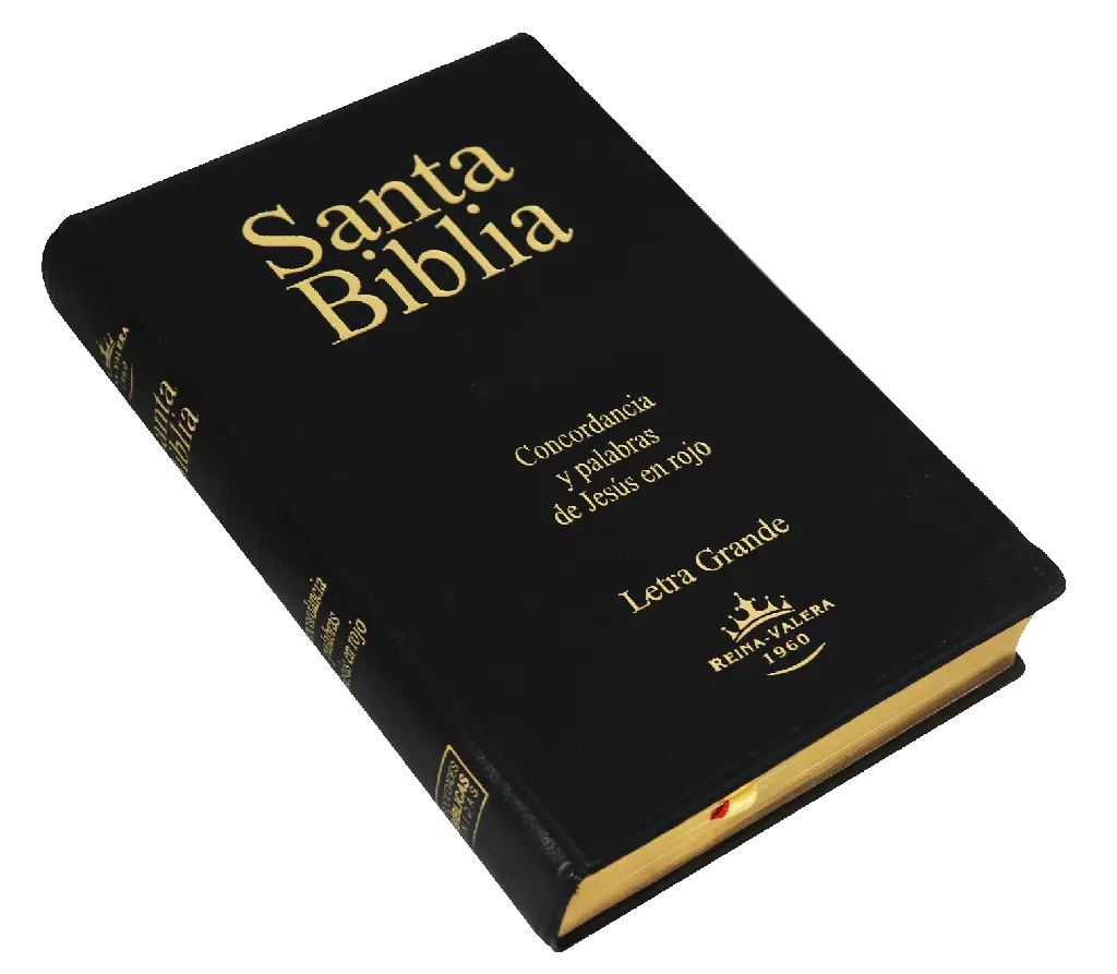 Biblia Reina Valera 1960 Letra Grande Negro [RVR062CLGPJR] (1).webp