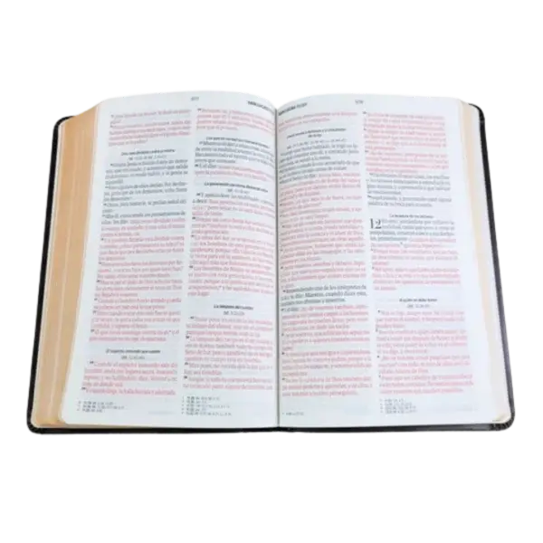 9798893842920-1-600x600.webp