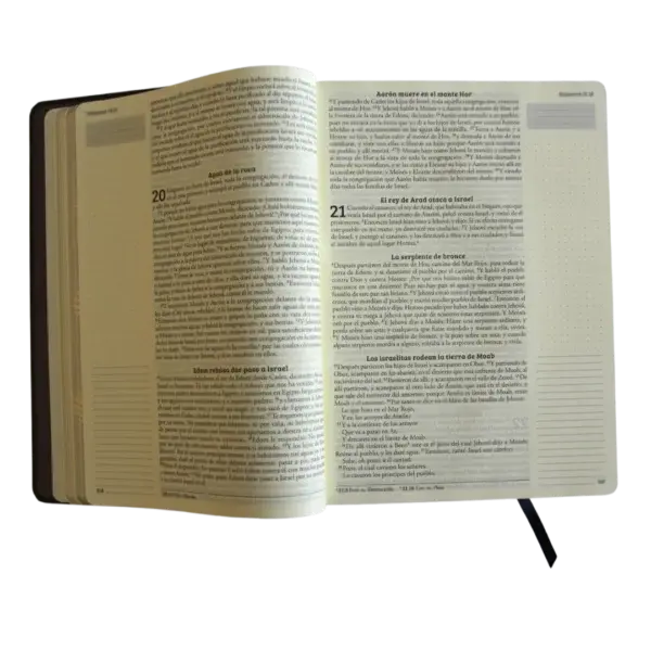 9798890982230-4-600x600.webp