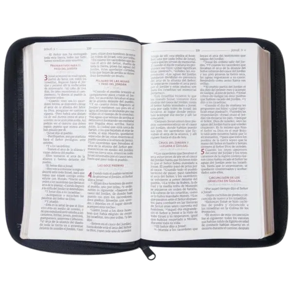 9781400238118-1-600x600.webp