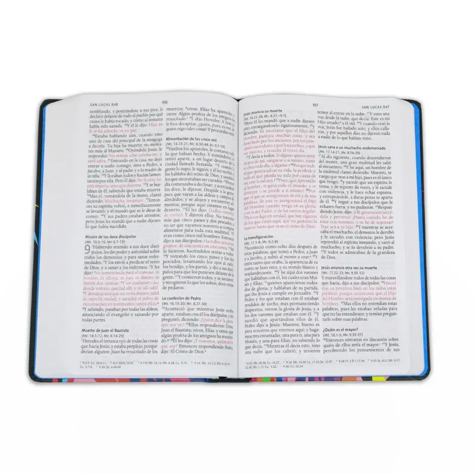 biblia-reina-valera-1960-letra-grande-leon-colores-716035_940x.webp