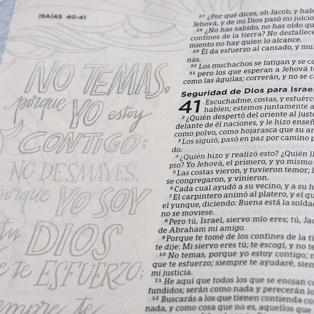 91WwRHPYkPL._SL1500_.webp