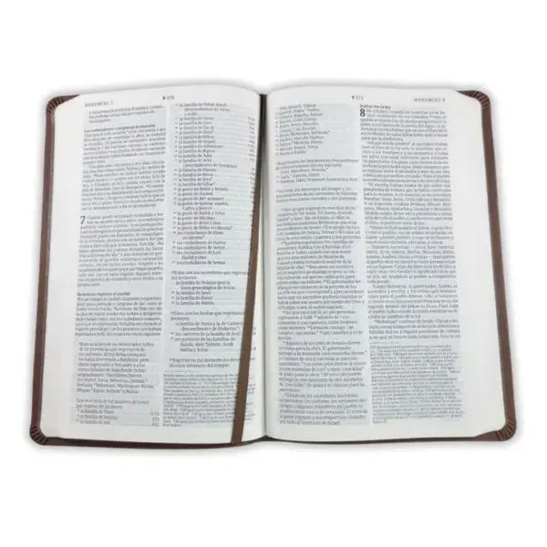 6-600x600.webp