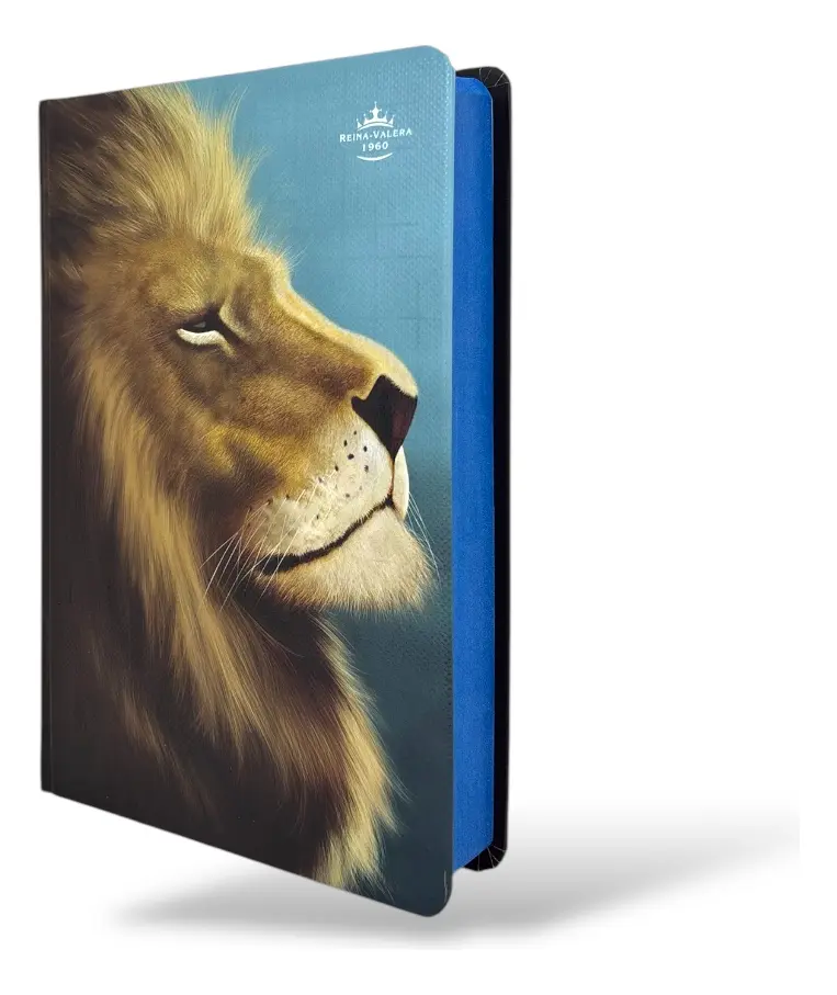 LIBRO BIBLIA REINA VALERA 1960 LETRA GRANDE, LEON, COLOR AZUL