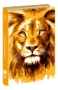 BIBLIA REINA VALERA 1960 LETRA GRANDE FLEX LEON AMARILLO