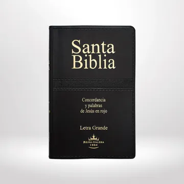 BIBLIA REINA VALERA 1960 MEDIANA LETRA GRANDE VINIL NEGRO
