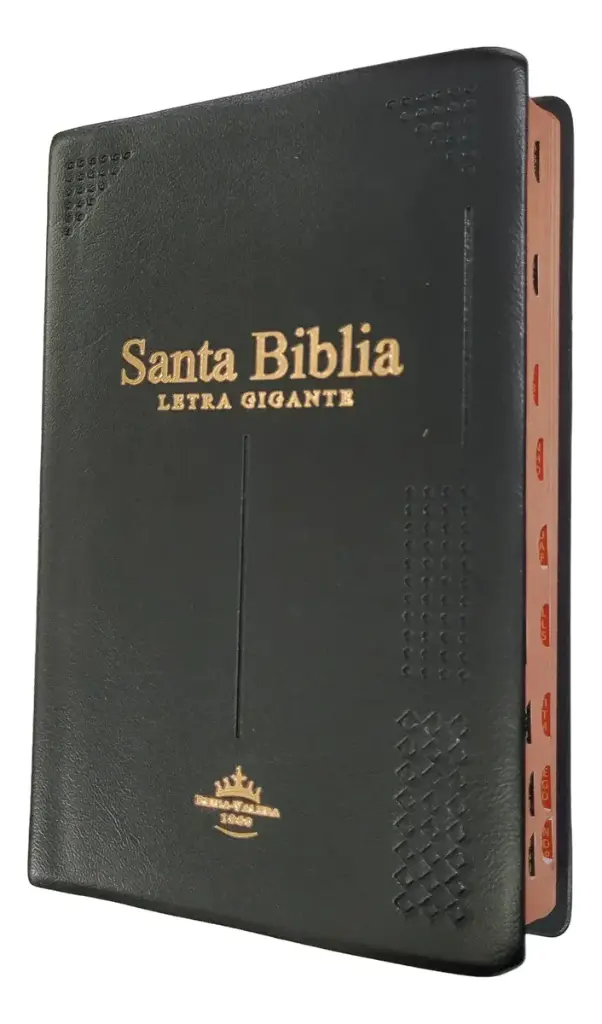 BIBLIA REINA VALERA 1960 LETRA GIGANTE NEGRO 14 PUNTOS