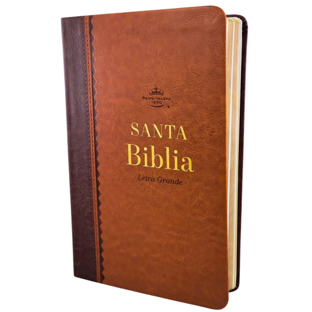 BIBLIA OBSEQUIOS Y PREMIOS MAUNAL 12 PUNTOS RV1960, IMITACION PIEL REFINADO