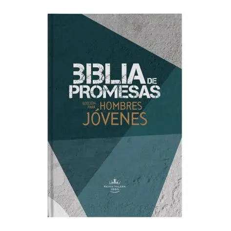 BIBLIA DE PROMESAS NTV EDICION PARA HOMBRES JOVENES 