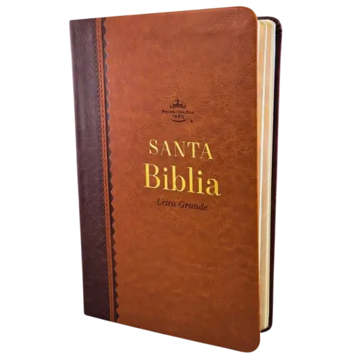 BIBLIA OBSEQUIOS Y PREMIOS MAUNAL 12 PUNTOS RV1960, IMITACION PIEL REFINADO