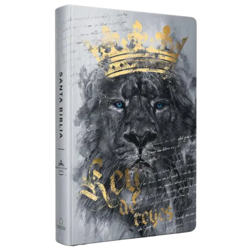BIBLIA REINA VALERA 1960 LETRA GRANDE TAMAÑO MANUAL, TAPA DURA REY DE REYES LEON GRIS 