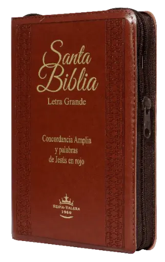 BIBLIA REINA VALERA 1960 LETRA GRANDE TAPA MARRÓN