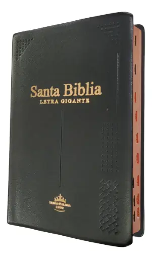 BIBLIA REINA VALERA 1960 LETRA GIGANTE NEGRO 14 PUNTOS